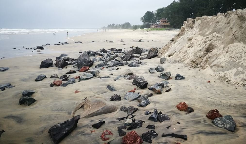 6 Best Destinations to Witness India’s Cherry Blossom Season